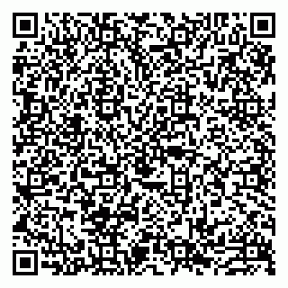 vCard 79993833380