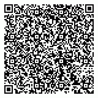 vCard 79993833381