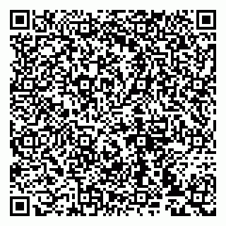 vCard 79993833383