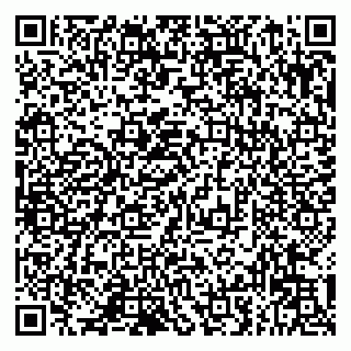 vCard 79993833384