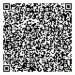 vCard 79993833385