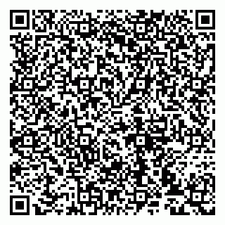 vCard 79993833387