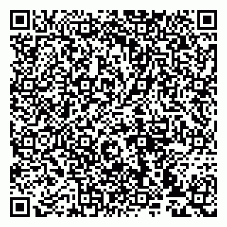 vCard 79993833388