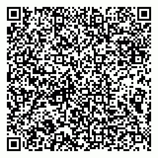 vCard 79993833389