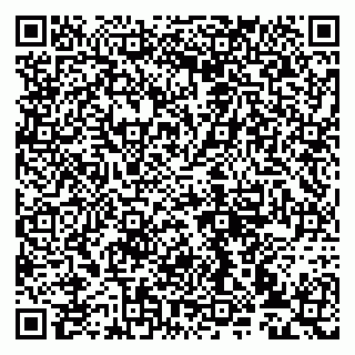 vCard 79993833391
