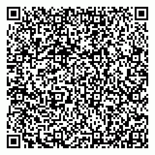 vCard 79993833392