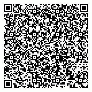 vCard 79993833394