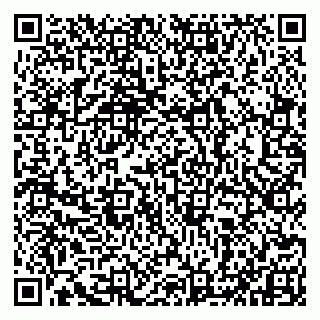 vCard 79993833395
