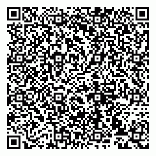 vCard 79993833399