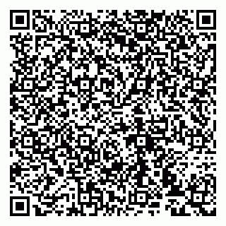 vCard 79993833402