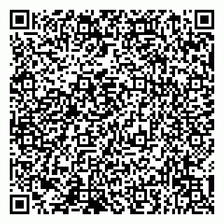 vCard 79993833415