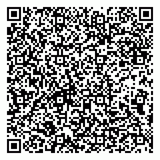vCard 79993833421