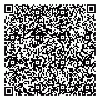vCard 79993833432