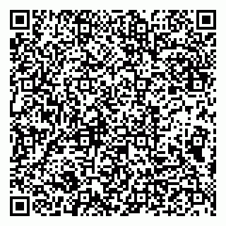vCard 79993833450