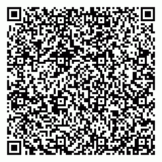 vCard 79993833524
