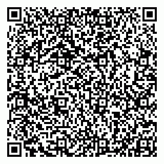 vCard 79993833539
