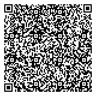 vCard 79993833601