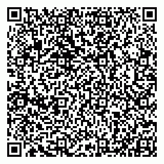vCard 79993833645