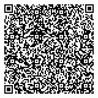 vCard 79993833653