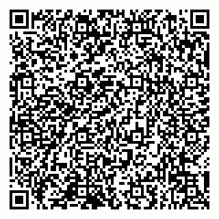 vCard 79993833655
