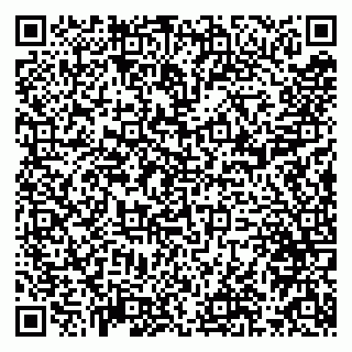 vCard 79993833691