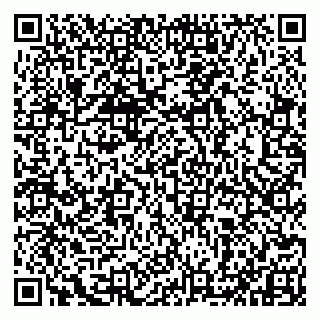 vCard 79993833725