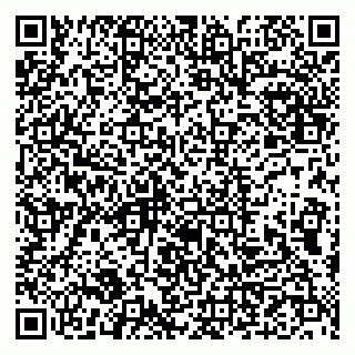 vCard 79993833732