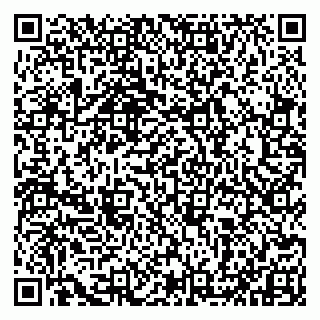 vCard 79993833747