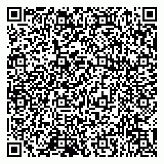 vCard 79993833788