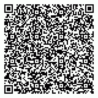 vCard 79993833789