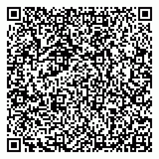 vCard 79993833791
