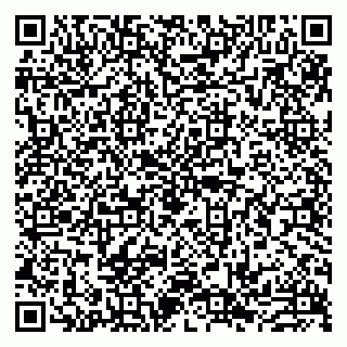 vCard 79993833828