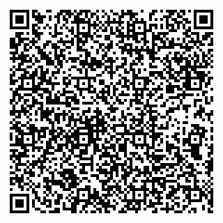 vCard 79993833837