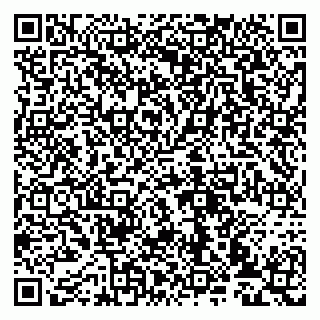 vCard 79993833842