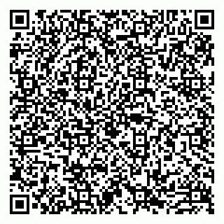 vCard 79993833855