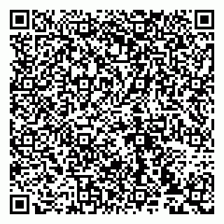 vCard 79993833866