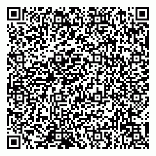 vCard 79993833904