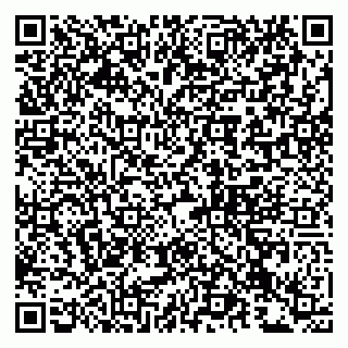 vCard 79993834181