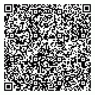 vCard 79993863001