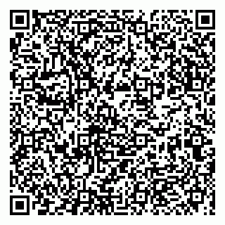 vCard 79993863004