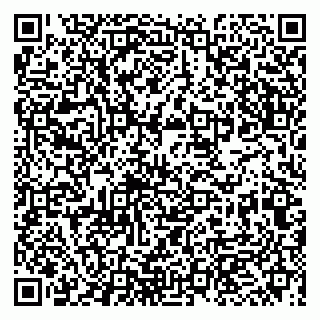 vCard 79993863066