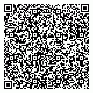 vCard 79993863099