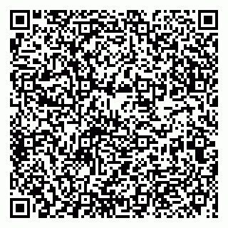 vCard 79993863104
