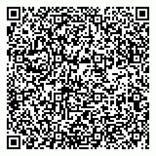 vCard 79993863123