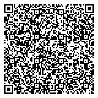 vCard 79993863125