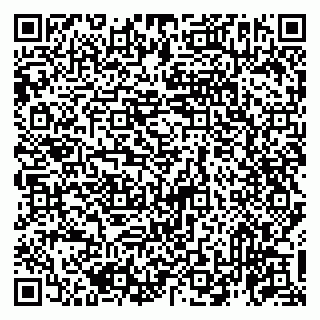 vCard 79993863132