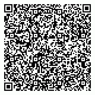 vCard 79993863133