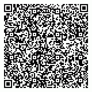 vCard 79993863138