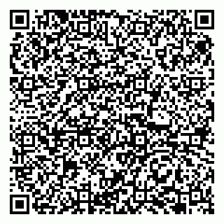 vCard 79993863165
