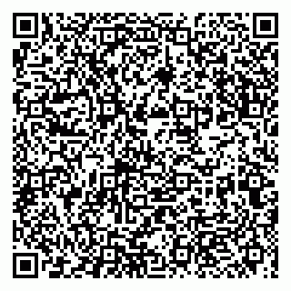 vCard 79993863173